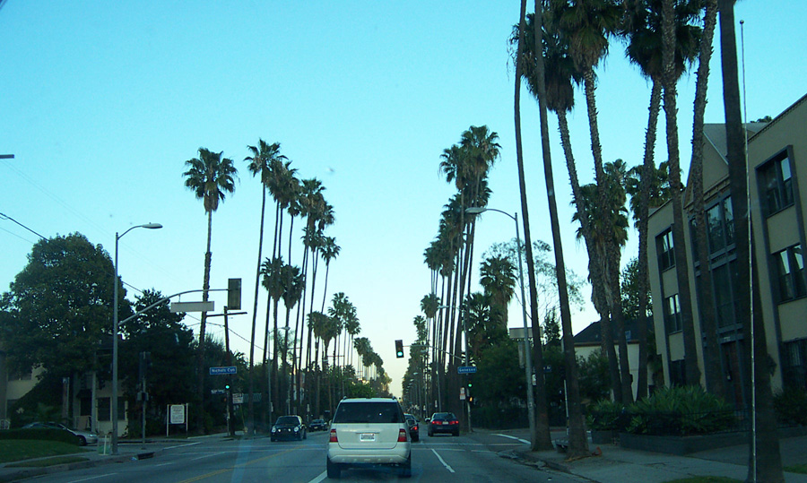 Los angeles адреса. Достопримечательности Лос Анджелеса Oxie. Эвкалипты в Лос Анджелесе. Побег из Лос Анджелеса Беверли Хиллз. Визитная карточка Лос Анджелеса.