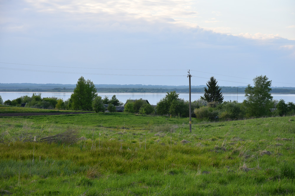 Освея